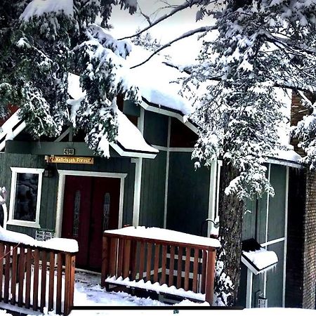 Hallelujah Forest Villa Big Bear Lake Buitenkant foto